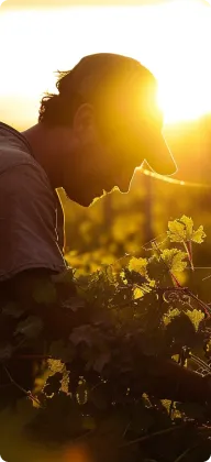 Agriculture